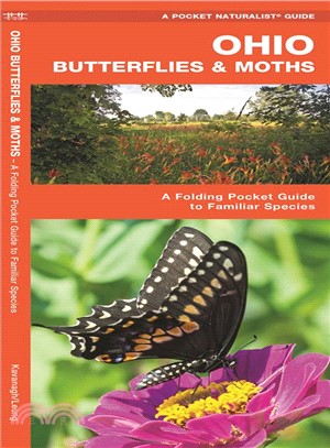 Ohio Butterflies & Moths ─ An Introduction to Familiar Species