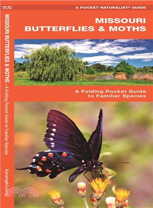 Missouri Butterflies & Moths ─ An Introduction to Familiar Species