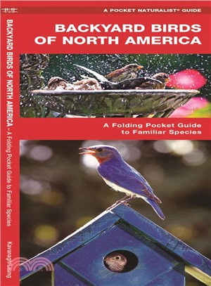 Backyard Birds of North America ─ A Folding Pocket Guide to Familiar Species