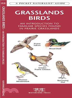 Grassland Birds: An Introduction to Familiar Species Found in Prairie Grasslands