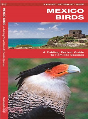 Mexico Birds ─ An Introduction to Familiar Species