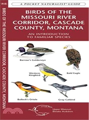 Birds of the Missouri River Corridor, Cascade County, Montana ― An Introduction to Familiar Species