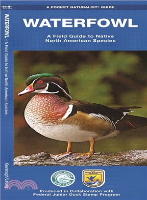 Waterfowl ─ A Field Guide to Native North American Species