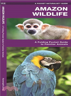 Amazon Wildlife ─ A Waterproof Pocket Guide to Familiar Species