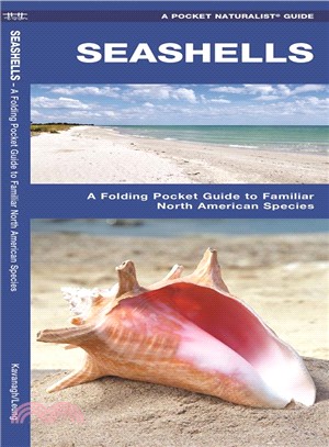 Seashells ─ A Folding Pocket Guide to Familiar North American Species