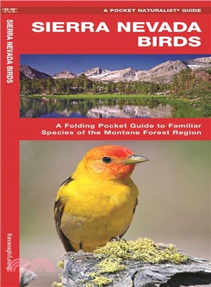 Sierra Nevada Birds ─ A Folding Pocket Guide to Familiar Species of the Montane Forest Region