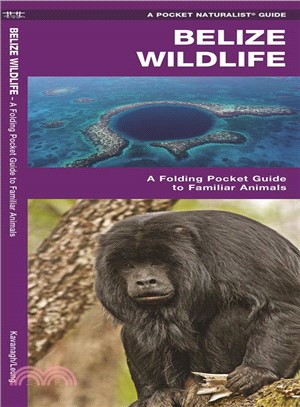 Belize Wildlife ― An Introduction to Familiar Species