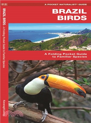 Brazil Birds ─ A Folding Pocket Guide to Familiar Species