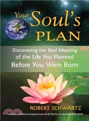 Your Soul's Plan ─ Discovering the Real Meaning of the Life You Planned Before You Were Born