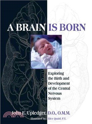 A Brain Is Born ─ Exploring the Birth and Development of the Central Nervous System