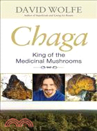 Chaga―King of the Medicinal Mushrooms