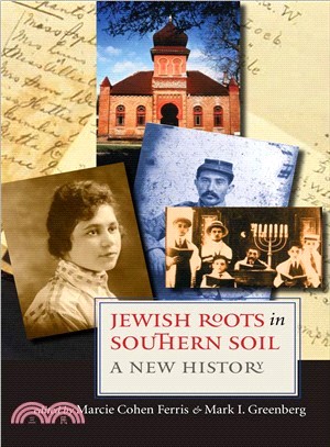 Jewish Roots in Southern Soil ─ A New History