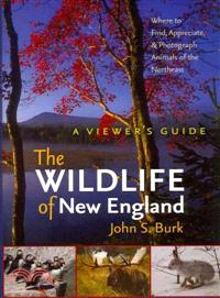 The Wildlife of New England
