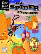 Is a Spider an Insect?