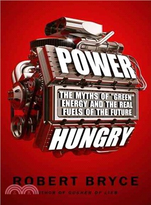 Power Hungry: The Myths of "Green" Energy and the Real Fuels of the Future