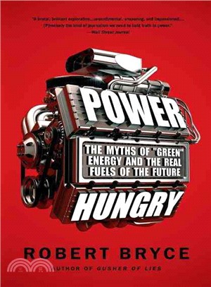 Power Hungry ─ The Myths of "Green" Energy and the Real Fuels of the Future