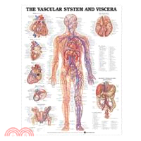 Vascular System & Viscera Chart