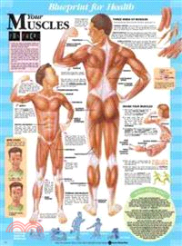 Blueprint for Health Your Muscles Chart