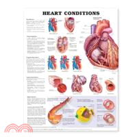 Heart Conditions Anatomical Chart