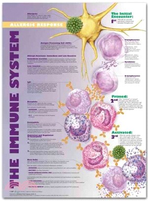The Immune System Allergic Response Anatomical Chart