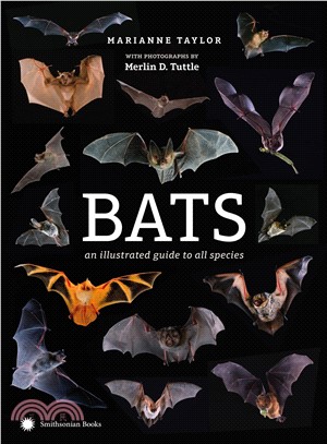 Bats ― An Illustrated Guide to All Species