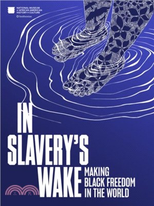 In Slavery's Wake：Making Black Freedom in the World