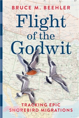 Flight of the Godwit：Tracking Epic Shorebird Migrations