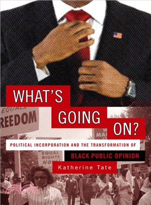 What's Going On? ─ Political Incorporation and the Transformation of Black Public Opinion