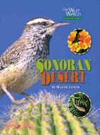 Sonoran Desert