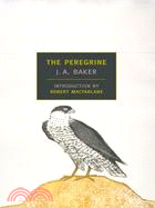 The Peregrine