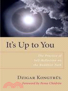 It's Up to You ─ The Practice of Self-reflection on the Buddhist Path