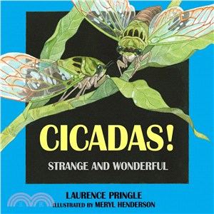 Cicadas! ─ Strange and Wonderful