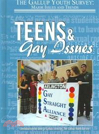 Teens And Gay Issues
