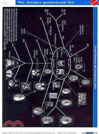 Strokes Pocketcard Set