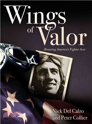 Wings of Valor ─ Honoring America's Fighter Aces