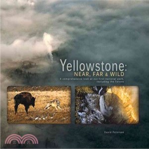 Yellowstone ― Near, Far, and Wild