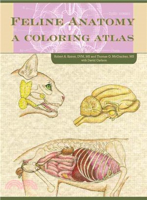 Feline Anatomy ─ A Coloring Atlas