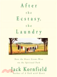 After the Ecstasy, the Laundry