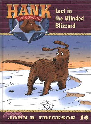 The Case of the Blinded Blizzard