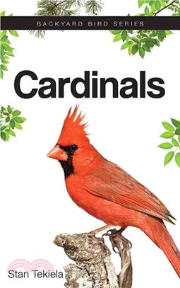 Cardinals ― How to Attract and Feed