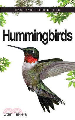 Hummingbirds ― How to Attract and Feed