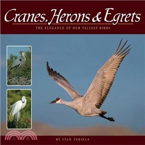 Cranes, Herons & Egrets ─ The Elegance of Our Tallest Birds