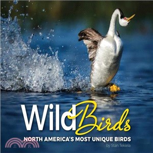 Wild Birds ― Pictures and Insights of the Birds of North America