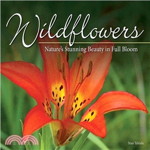 Wildflowers ― Nature's Stunning Beauty on Display