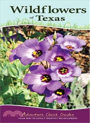 Wildflowers of Texas