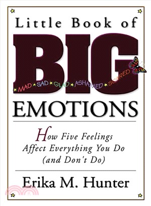Little Book of Big Emotions: How Five Feelings That Affect Everything You Do (and Don't Do)