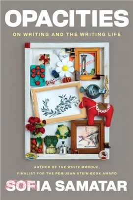 Opacities：On Writing and the Writing Life