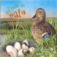 As?nace un pato/ Starting Life Duck