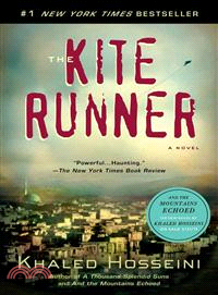 THE KITE RUNNER追風箏的孩子