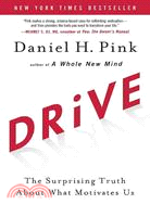 Drive :the surprising truth about what motivates us /